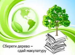 Сбор макулатуры «Подари деревьям жизнь»
