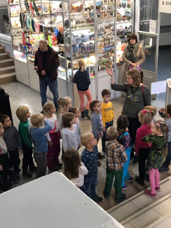 Дошкольники посетили зоологический музей