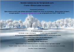 Зимние каникулы на Загородной даче. Смена «Новогодняя мозаика»