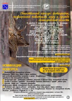Общественный конкурс фотографии, посвященный животному миру и природе Ленинградской области