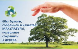 Акция по сбору макулатуры «Подари деревьям жизнь»