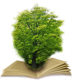 Акция по сбору макулатуры «Подари деревьям жизнь»