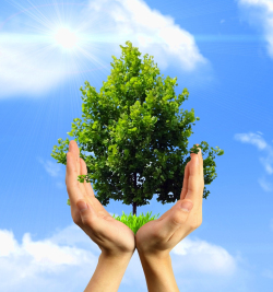 Состоялась акция по сбору макулатуры «Подари деревьям жизнь!»